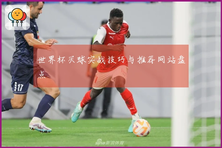 世界杯买球实战技巧与推荐网站盘点