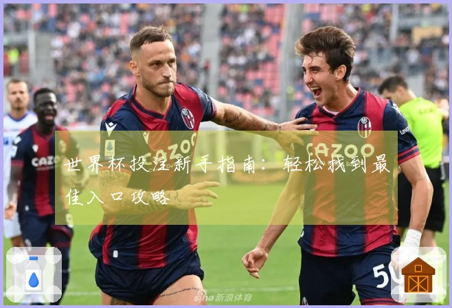 世界杯投注新手指南：轻松找到最佳入口攻略