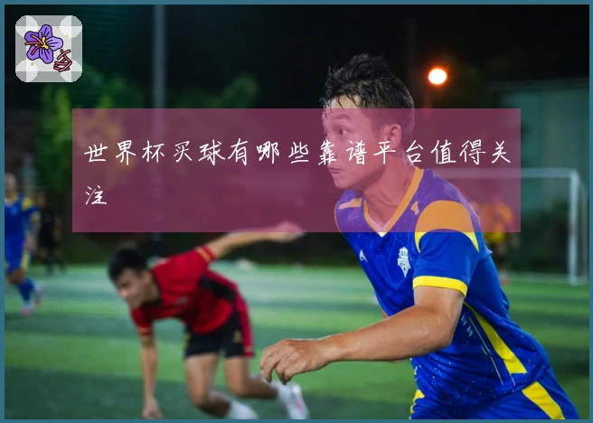 世界杯买球有哪些靠谱平台值得关注