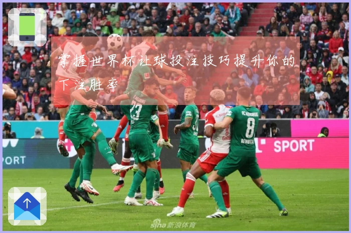 掌握世界杯让球投注技巧提升你的下注胜率