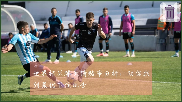 世界杯买球竞猜赔率分析，助你找到最优下注机会