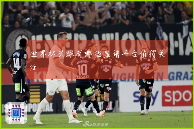 世界杯买球有哪些靠谱平台值得关注