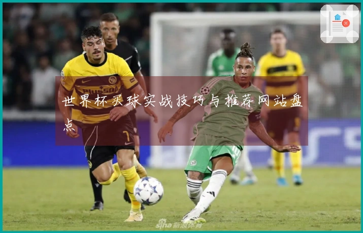 世界杯买球实战技巧与推荐网站盘点