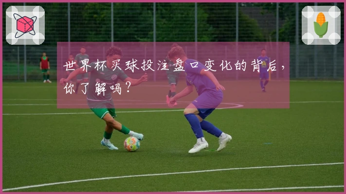 世界杯买球投注盘口变化的背后，你了解吗？