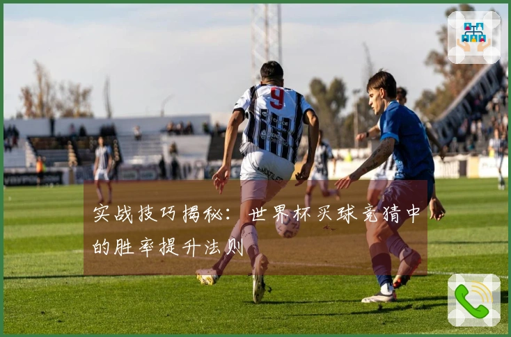 实战技巧揭秘：世界杯买球竞猜中的胜率提升法则