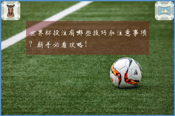 世界杯投注有哪些技巧和注意事项？新手必看攻略！