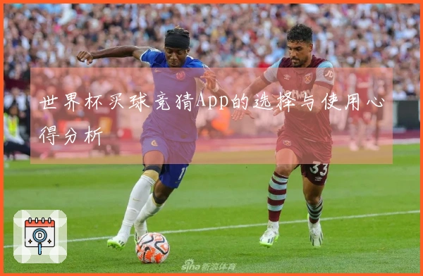 世界杯买球竞猜App的选择与使用心得分析