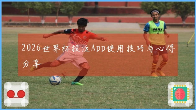 2026世界杯投注App使用技巧与心得分享