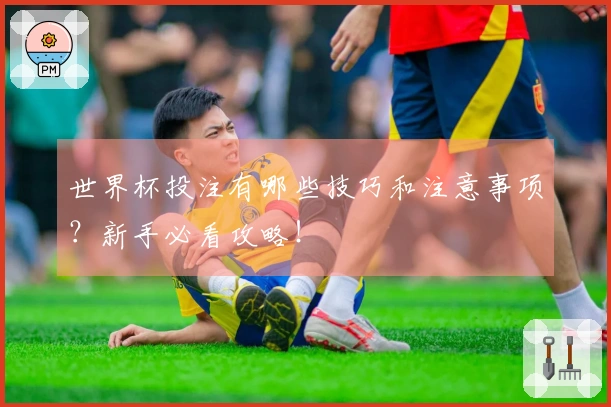 世界杯投注有哪些技巧和注意事项？新手必看攻略！